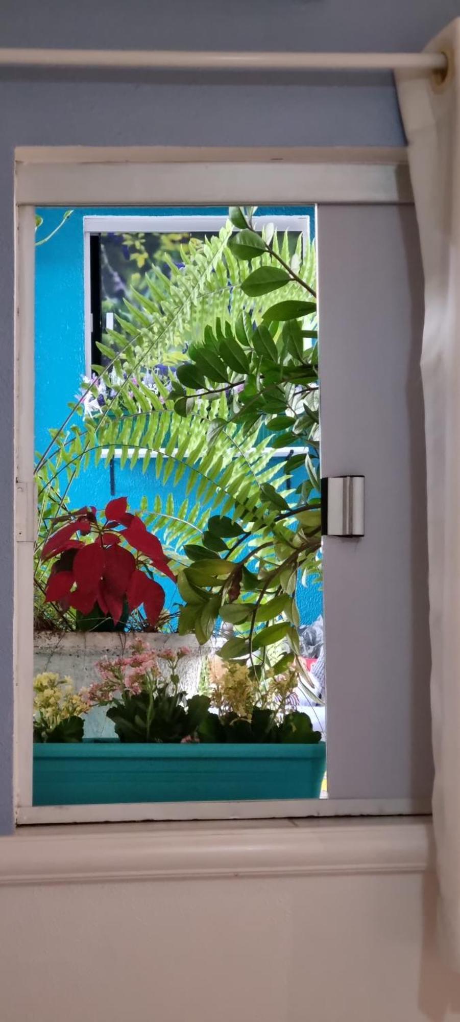 Pousada Recanto Da Familia Natal Eksteriør billede